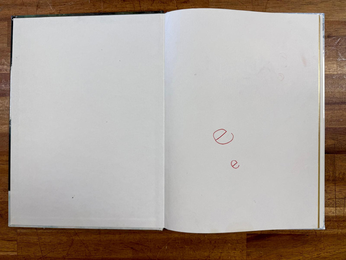 The Lion, the Witch & the Wardrobe: The Movie Storybook - Good