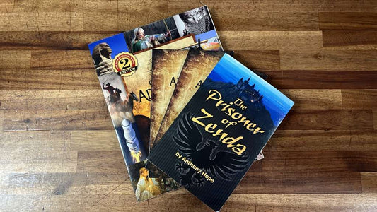 One Year Adventure Novel SET of 4