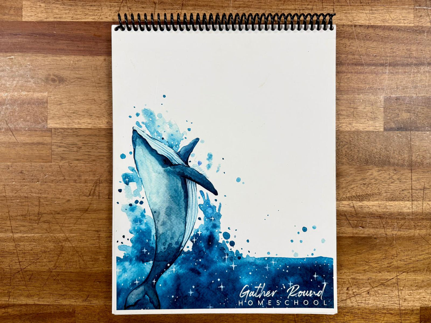 Gather Round Oceans Unit Study Upper Elementary - Like New