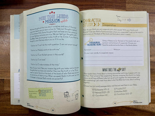 More Than Words Level 2: Living Faith Bible Curriculum - Like New