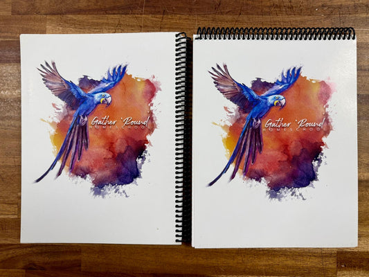 Gather Round South America TG & Upper Elementary - Like New