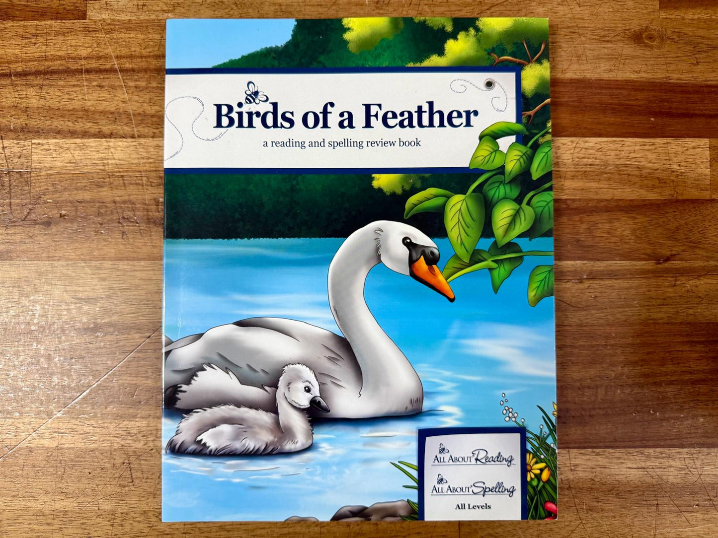 All About Learning Birds of a Feather Reading Spelling Review Book