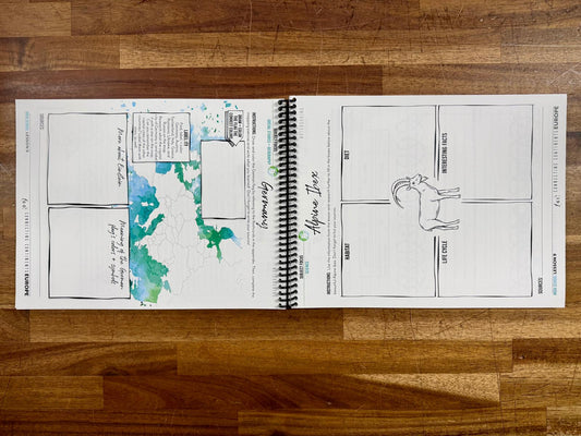 Gather Round Europe High School Workbook - Good & Clean