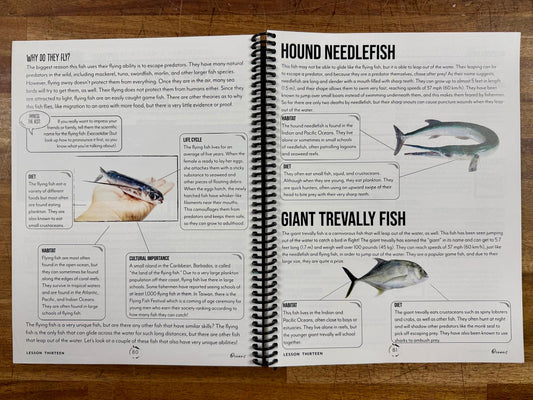 Gather Round Oceans Unit Study Teacher Guide - Like New