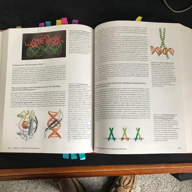 Molecular Biology of the Cell 3E 3rd Edition