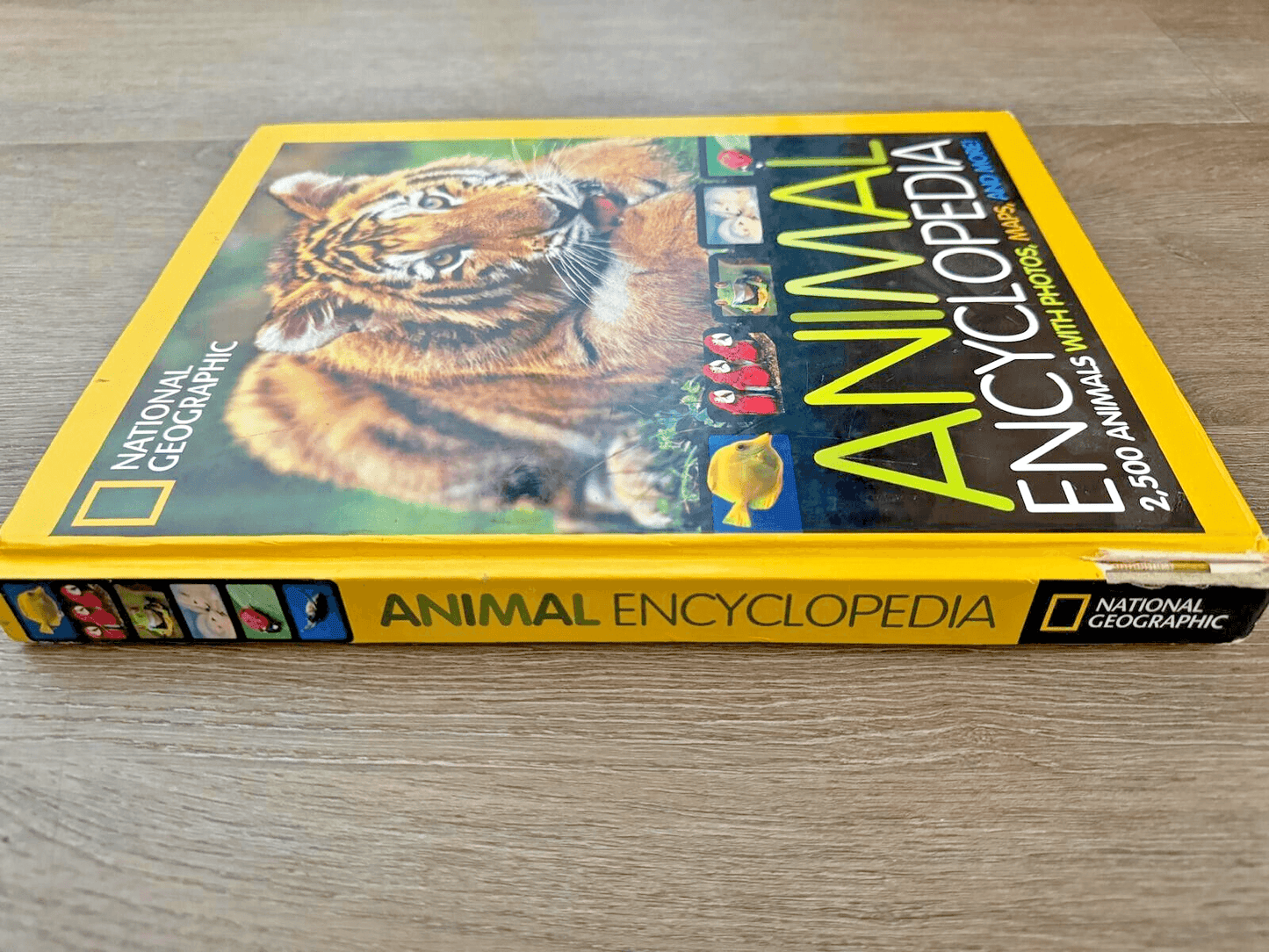 National Geographic Animal Encyclopedia : 2,500 Animals with Photos, Maps,...