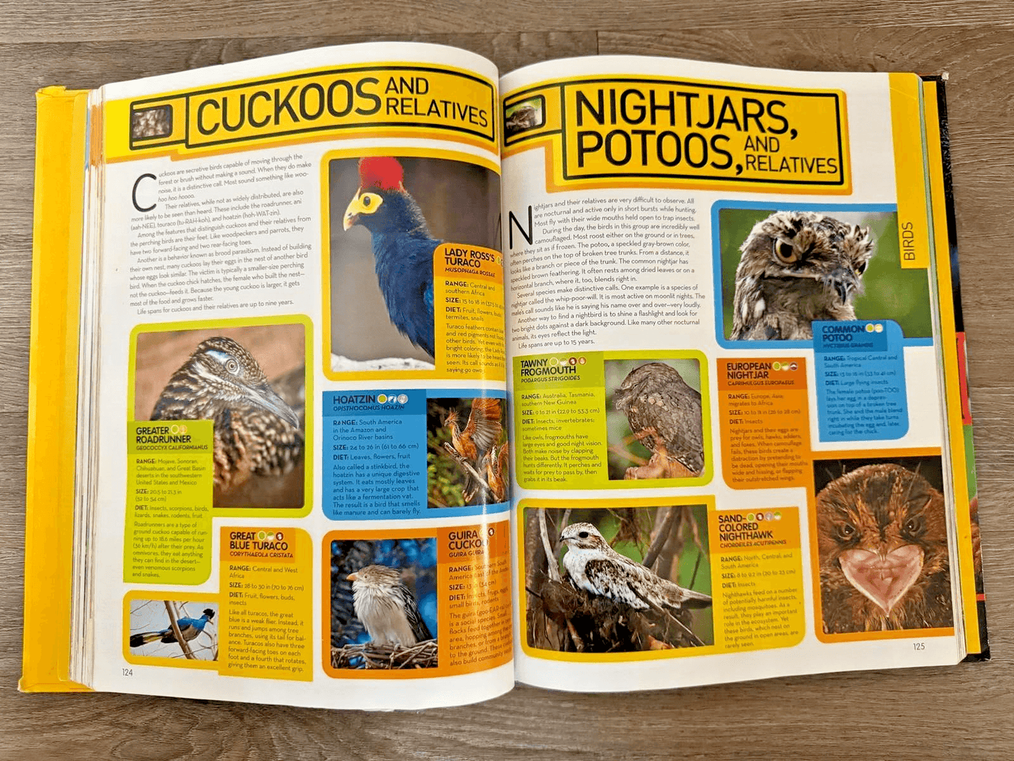 National Geographic Animal Encyclopedia : 2,500 Animals with Photos, Maps,...