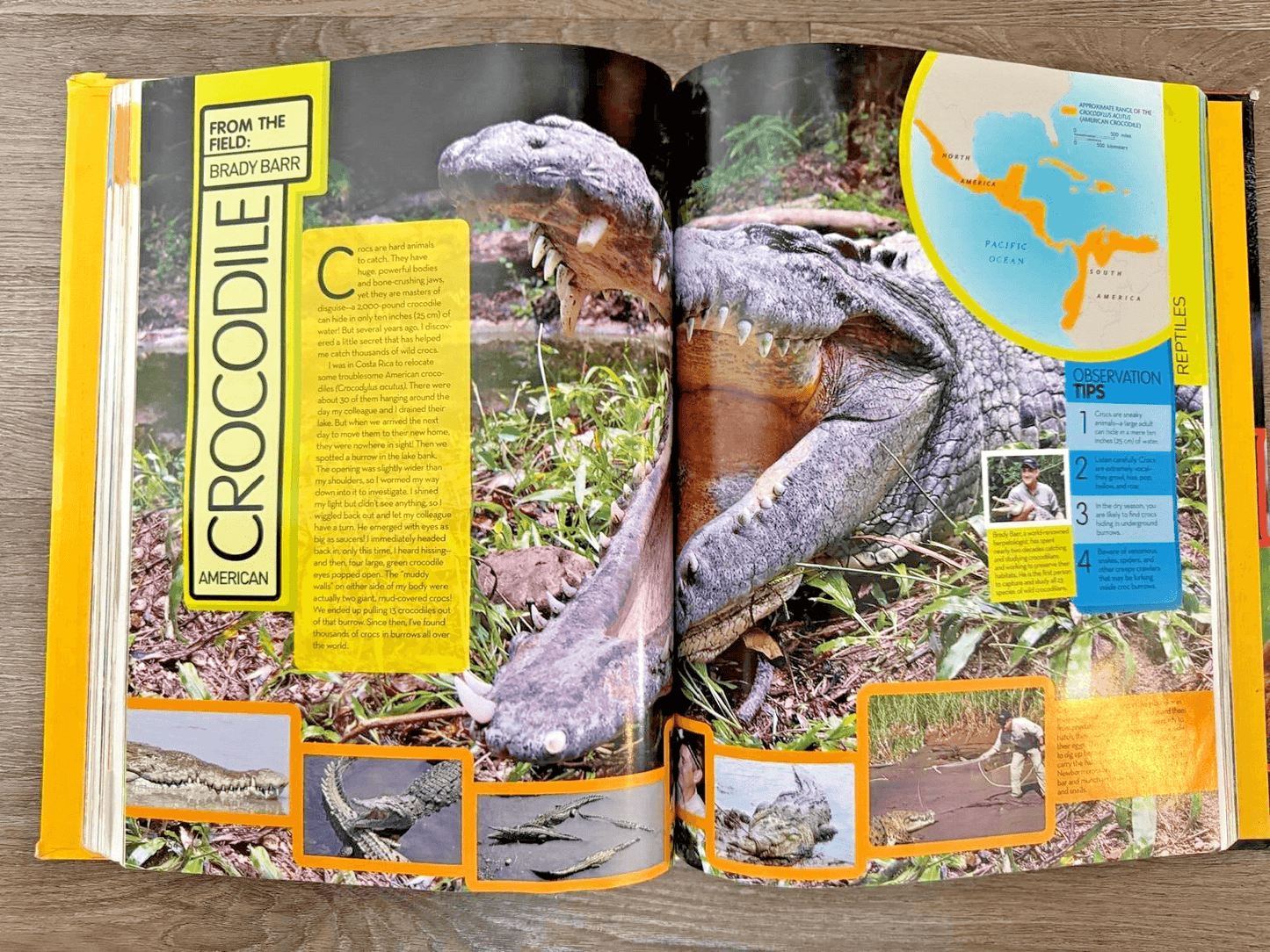 National Geographic Animal Encyclopedia : 2,500 Animals with Photos, Maps,...