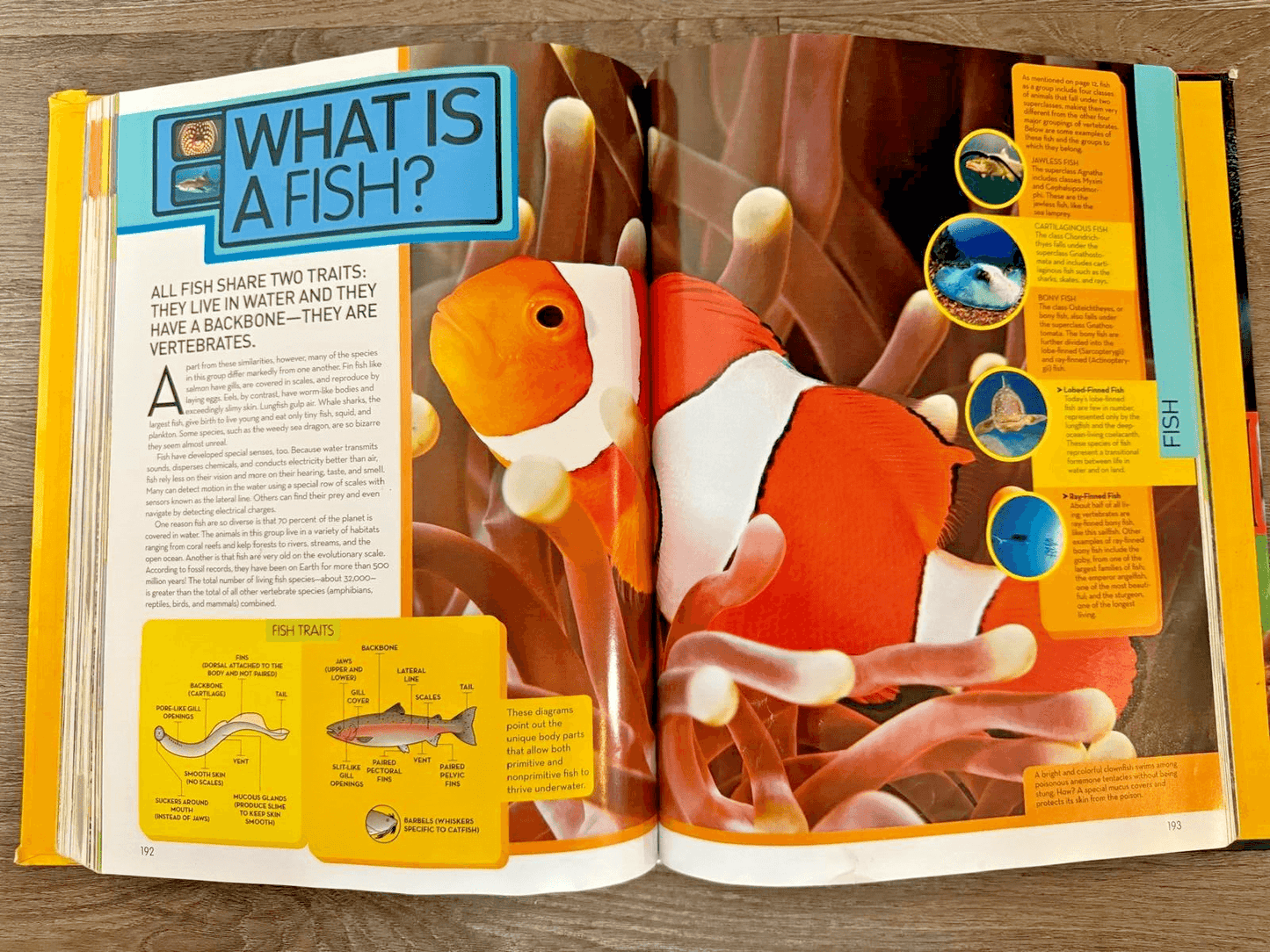 National Geographic Animal Encyclopedia : 2,500 Animals with Photos, Maps,...