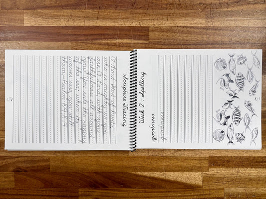 Gather Round Oceans Cursive Writing Notebook - Like New