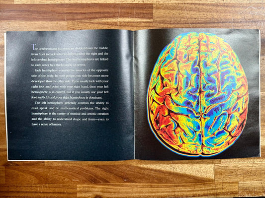 Seymour Simon Human Body Lot of 2: The Brain & The Heart