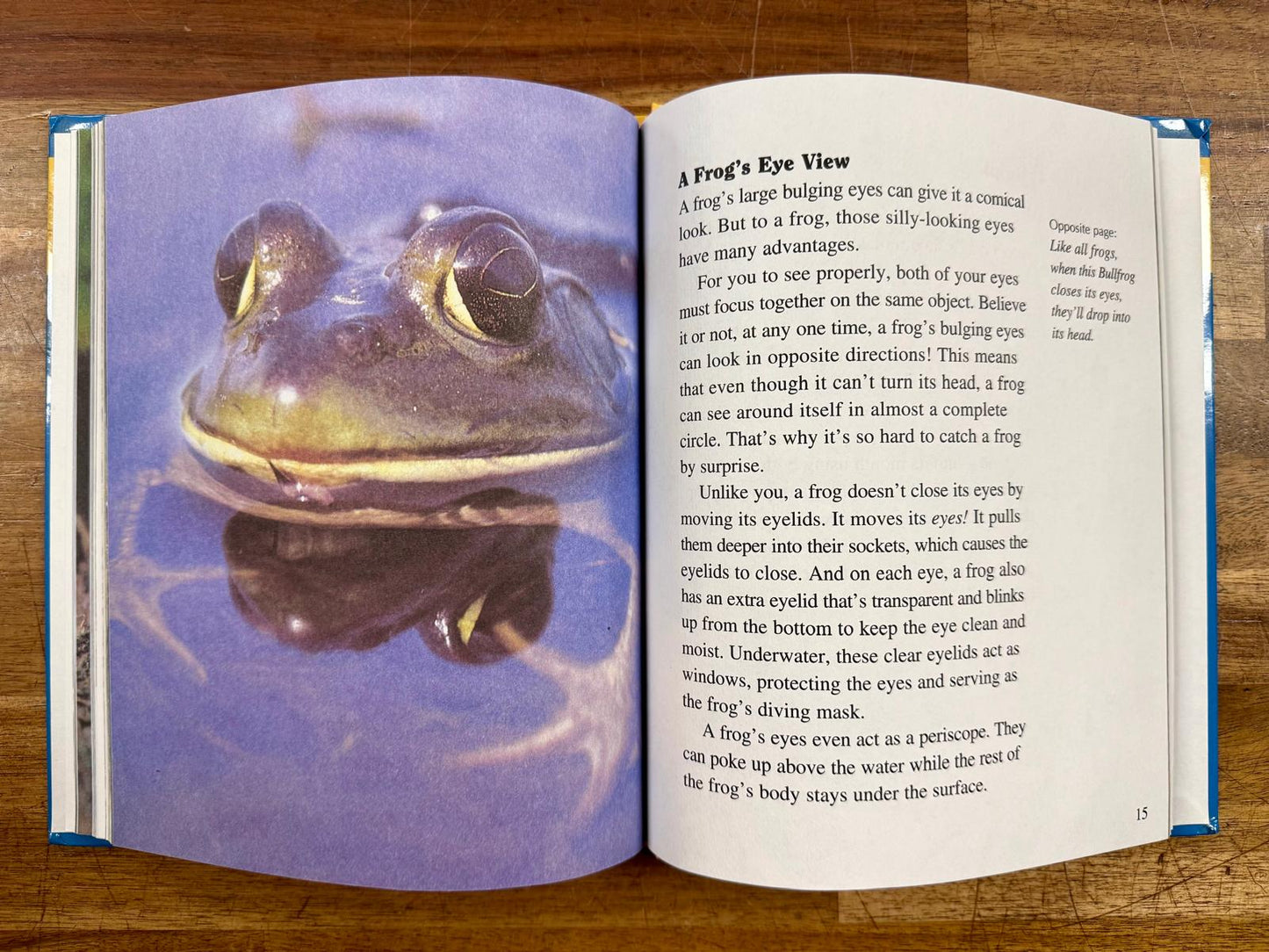 Getting to Know... Nature's Children Squirrels & Frogs