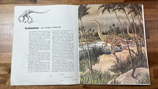 Album of Dinosaurs - Tom McGowen