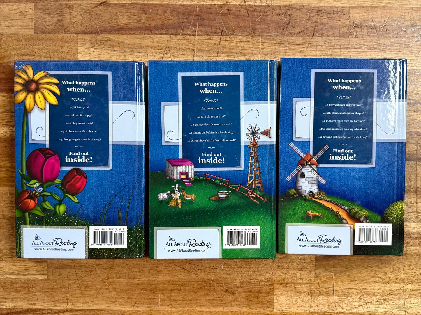 AAR Level 1 SET: Teacher Manual & 3 Readers