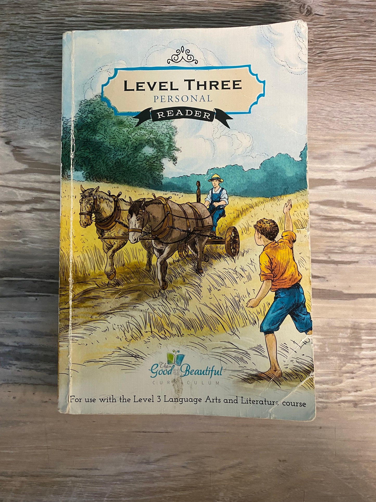 Level 3 Personal Reader, Good and The Beautiful