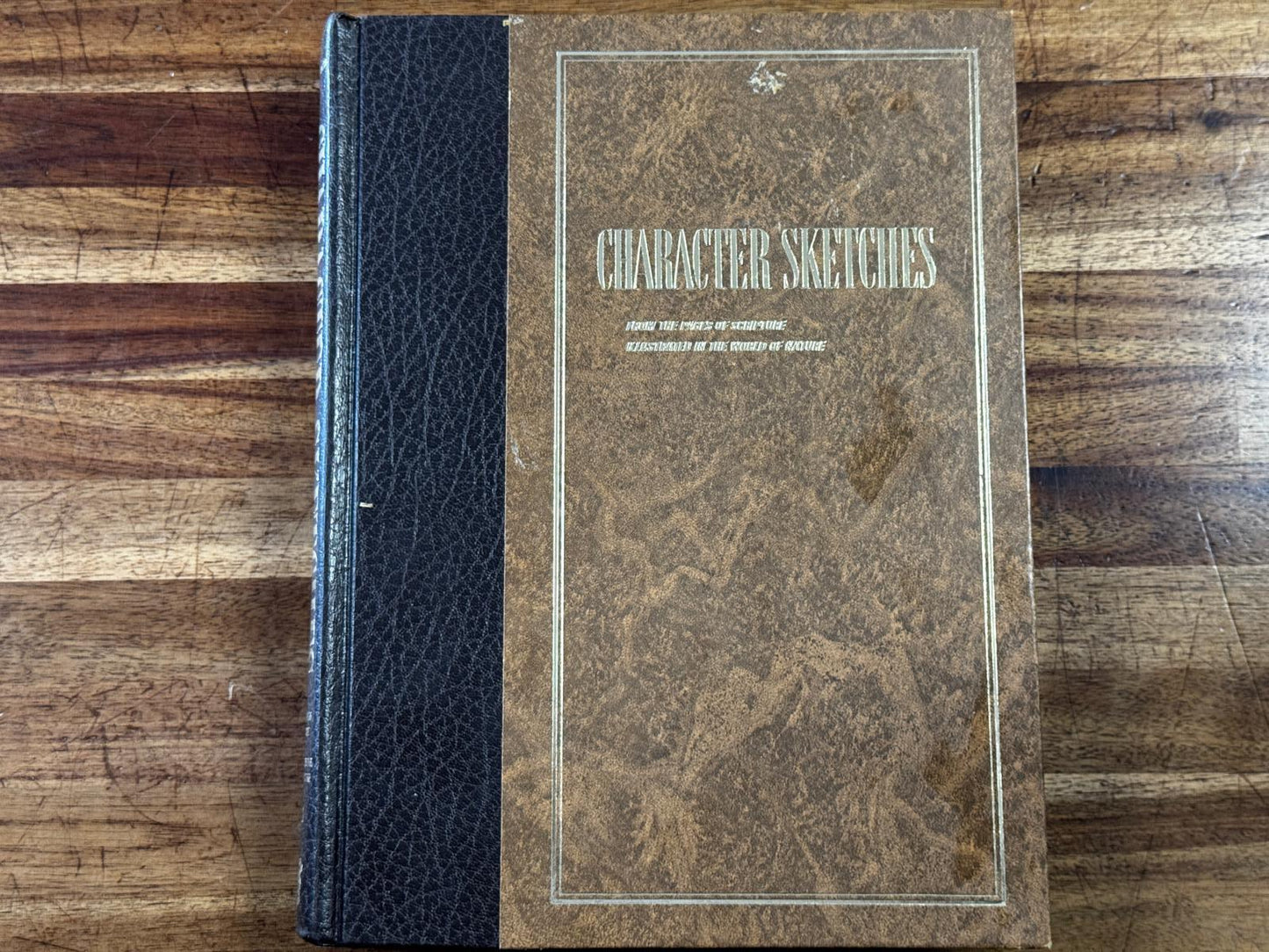 Character Sketches from the Pages of Scripture, Illustrated in the World of Nature, Vol. 1 (Condition - GOOD