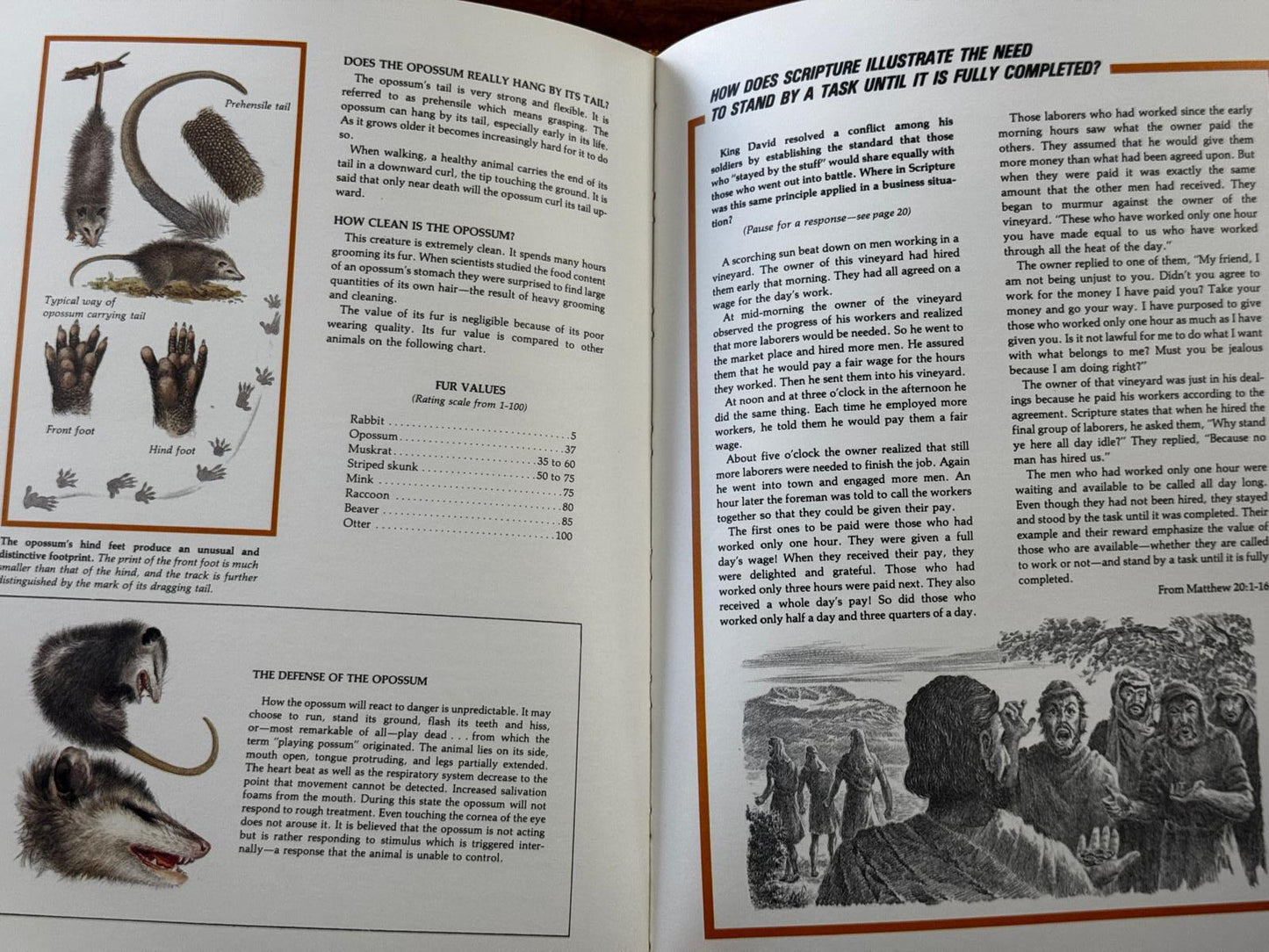 Character Sketches from the Pages of Scripture, Illustrated in the World of Nature, Vol. 1 (Condition - GOOD