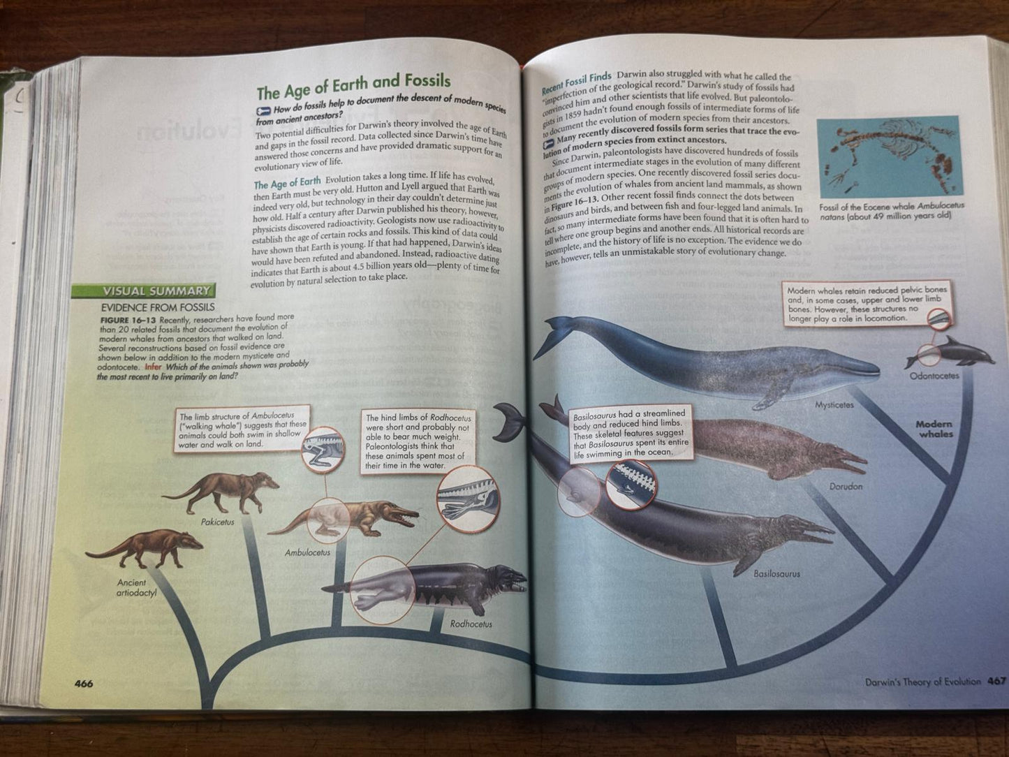 Pearson Biology 2010 Textbook - Condition GOOD