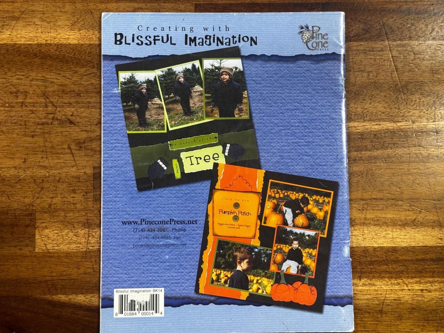 Pine Cone Press Creating with Blissful Imagination - Condition GOOD & CLEAN