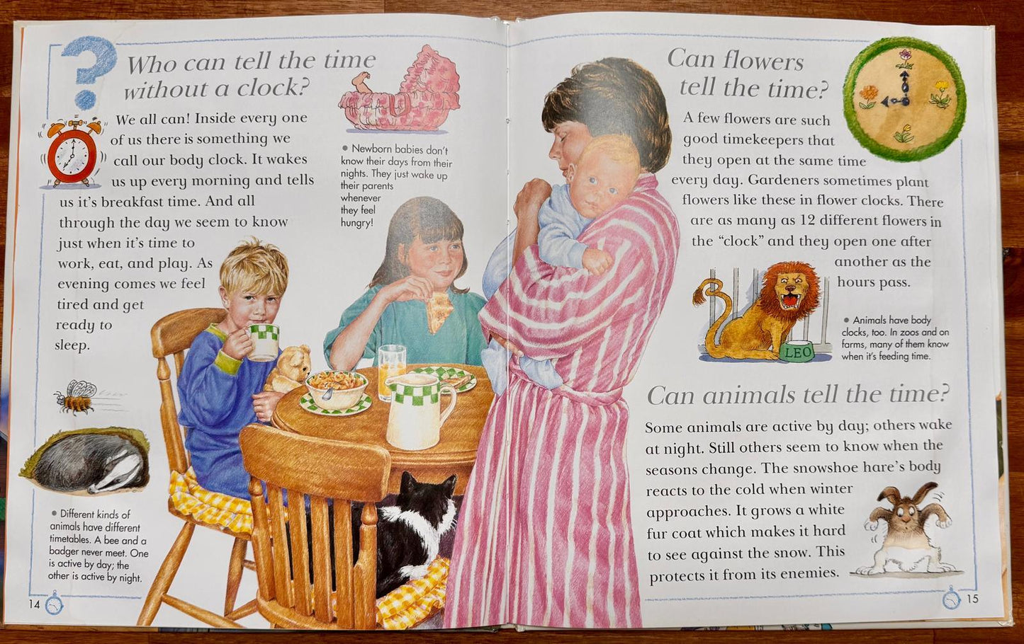 Kingfisher I Wonder Why the Sun Rises and Other Questions About Time and Seasons - CONDITION Acceptable and Clean