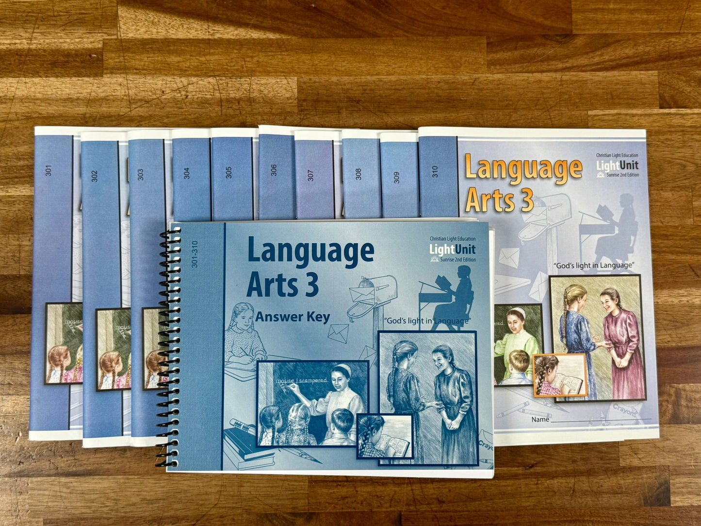 CLE Language Arts 3 SET - Study Guides & Answer Key