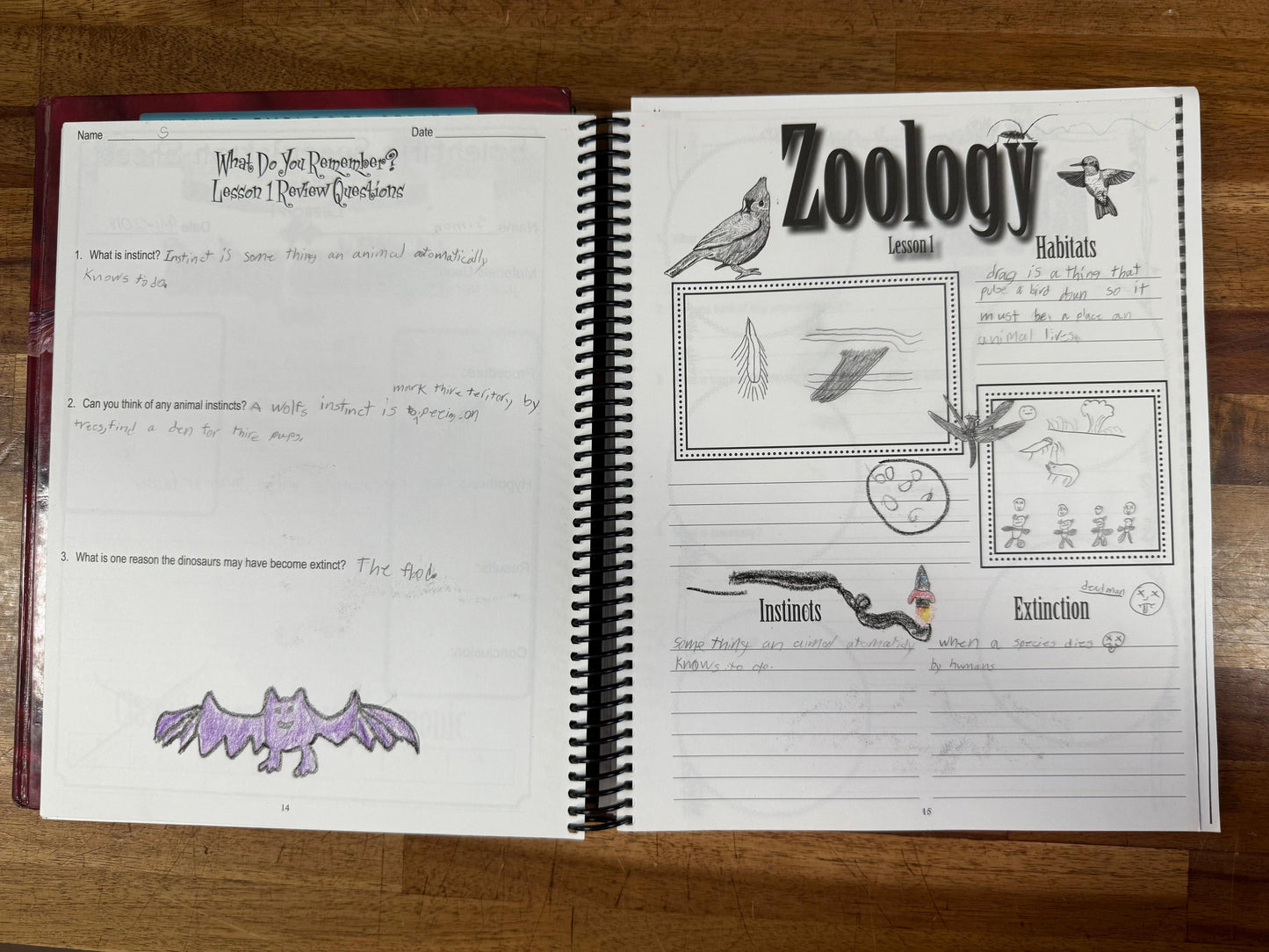 Exploring Creation with Zoology 1: Flying Creatures of the Fifth Day – Textbook & Journal