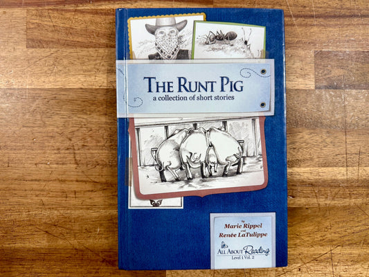 AAR Runt Pig Level 1 Volume 2: An Engaging Phonics Resource for Early Readers