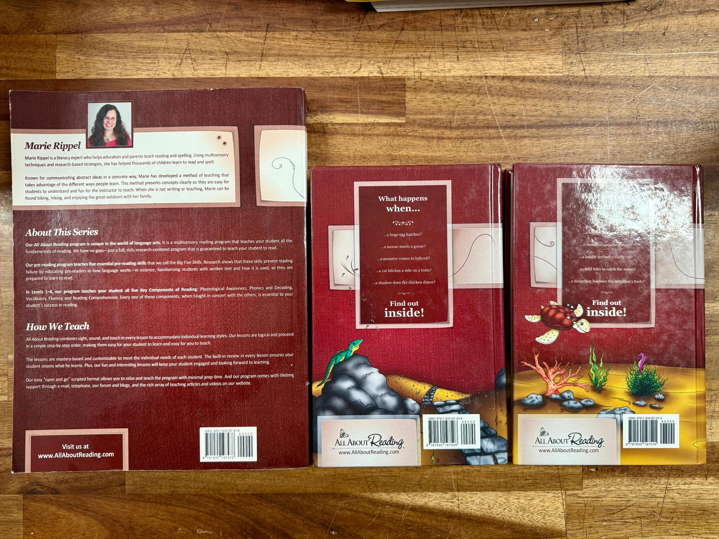 AAR Level 3 Teacher's Manual & Volume 1-2 Readers SET: Comprehensive Phonics Instruction for Growing Readers