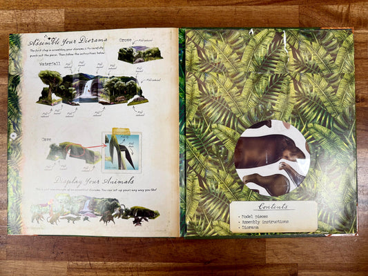 Ultimate Expeditions: Rainforest Explorer