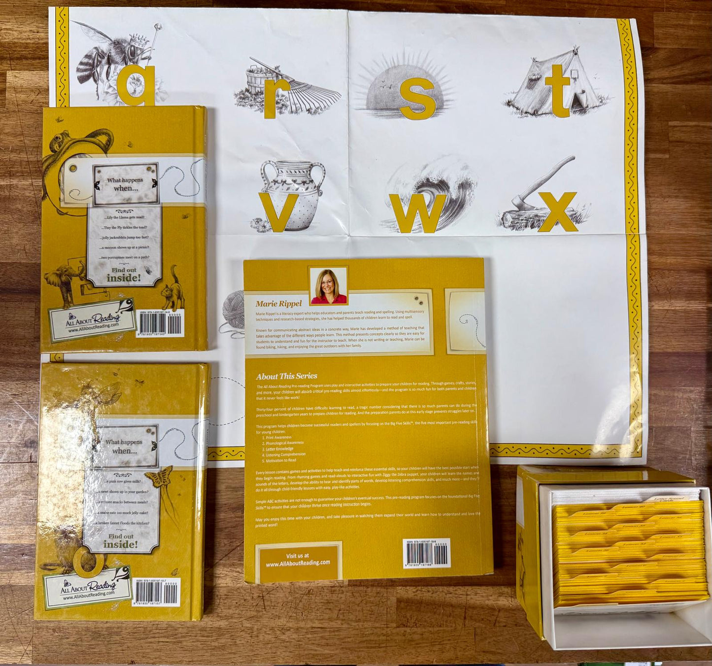 AAR Pre-Reading SET - TM, Poster, Readers (2), ActvBox