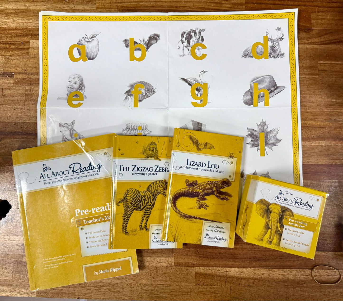 AAR Pre-Reading SET - TM, Poster, Readers (2), ActvBox