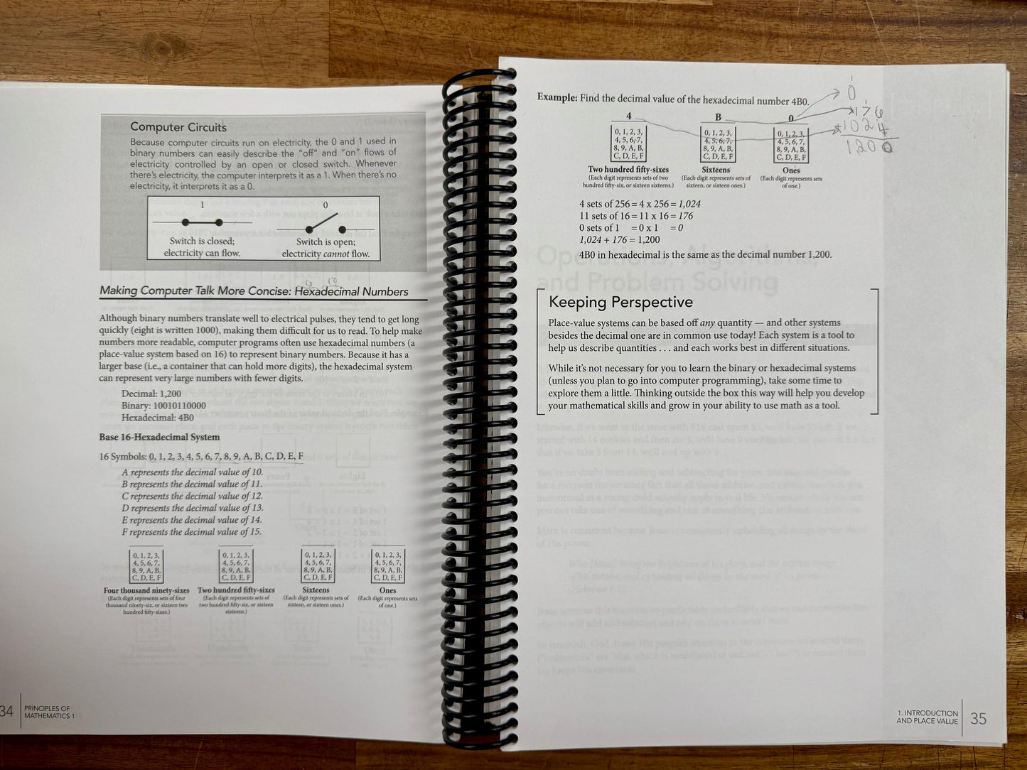 MB Principles of Mathematics Book 1