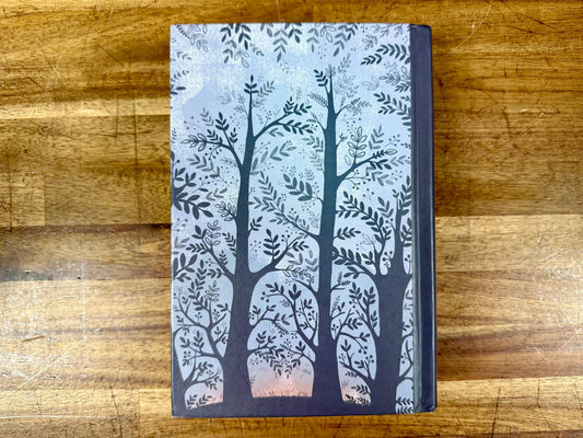 Echo - Hardcover by Ryan, Pam Munoz Scholastic Press