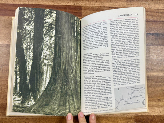 Audubon Nature Encyclopedia Vol 1 (AC–BE) 1965 Curtis