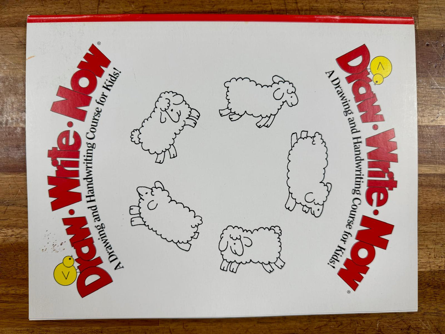 Draw-Write-Now Drawing & Handwriting Course