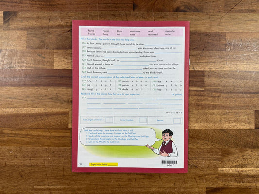 ACE School of Tomorrow Literature & Creative Writing 1060 PACE (Like New)