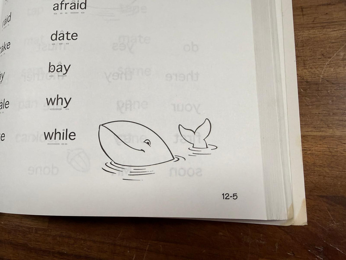 The Reading Lesson: Teach Your Child To Read In 20 Easy Lessons