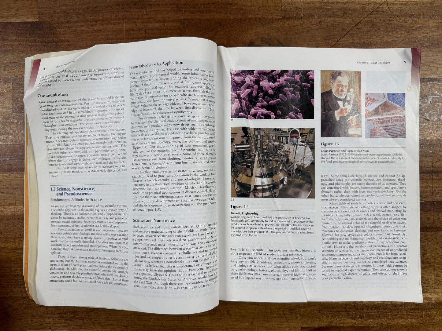 Concepts in Biology Paperback - Enger, Ross, Bailey (Good)