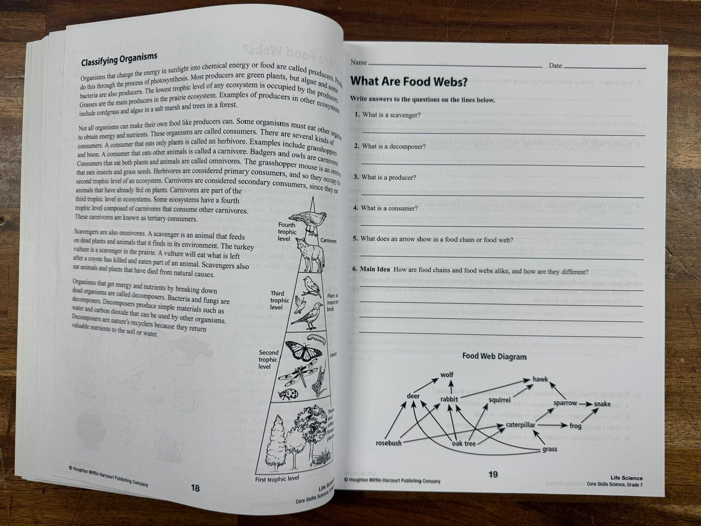Core Skills Science Grade 7 - Steck-Vaughn (see description)