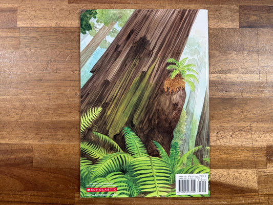 Red Woods - Jason Chin (VG)