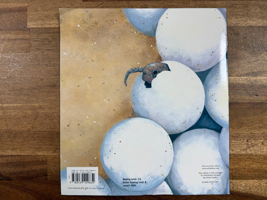 One Tiny Turtle - Nicola Davies (VG)