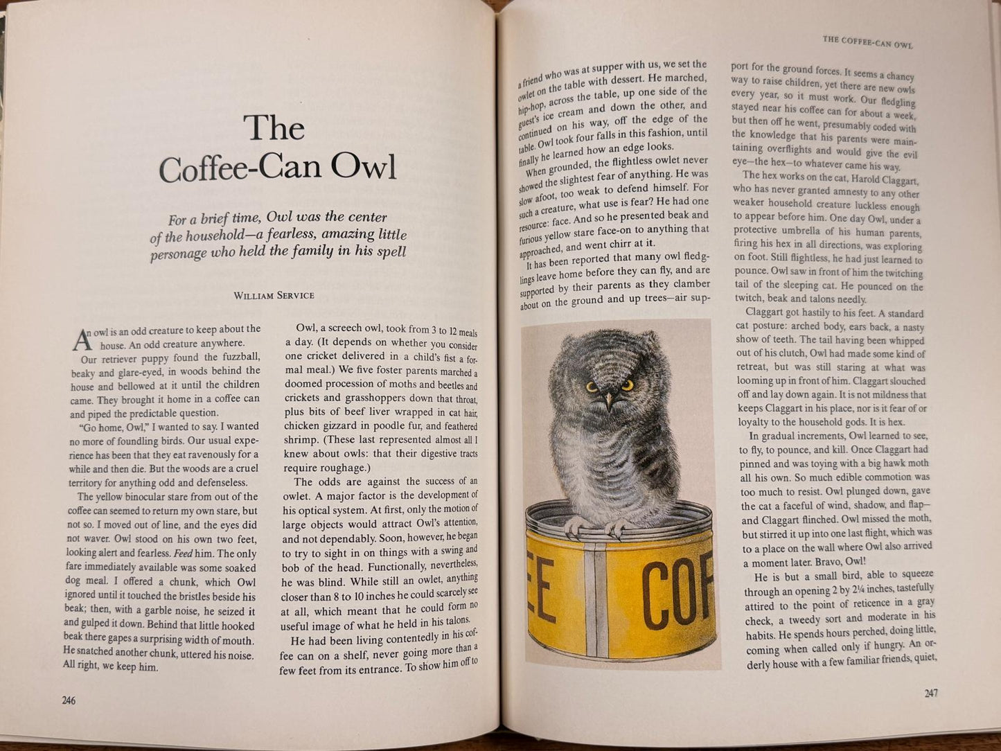 Animals Can Be Almost Human Reader's Digest Book