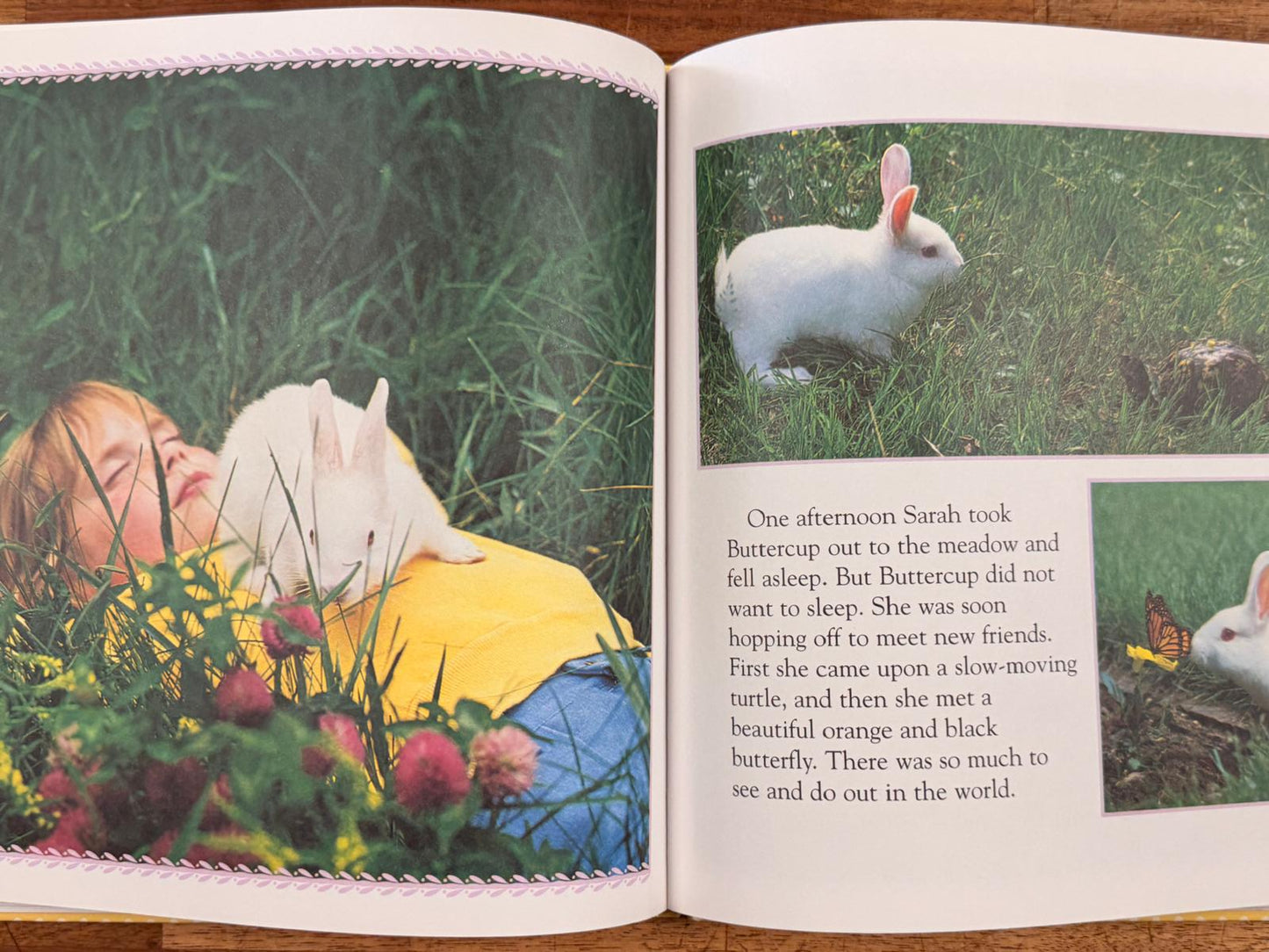A Big Treasury of Little Animals by Phoebe Dunn