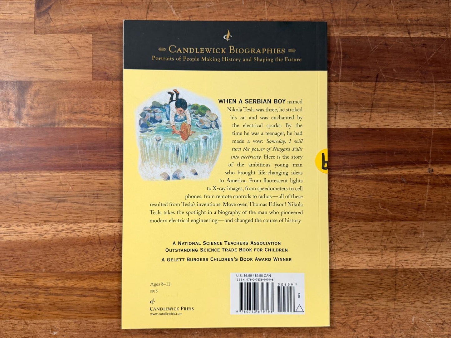 Candlewick Biographies - Electrical Wizard