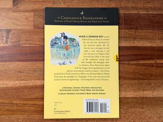 Candlewick Biographies - Electrical Wizard