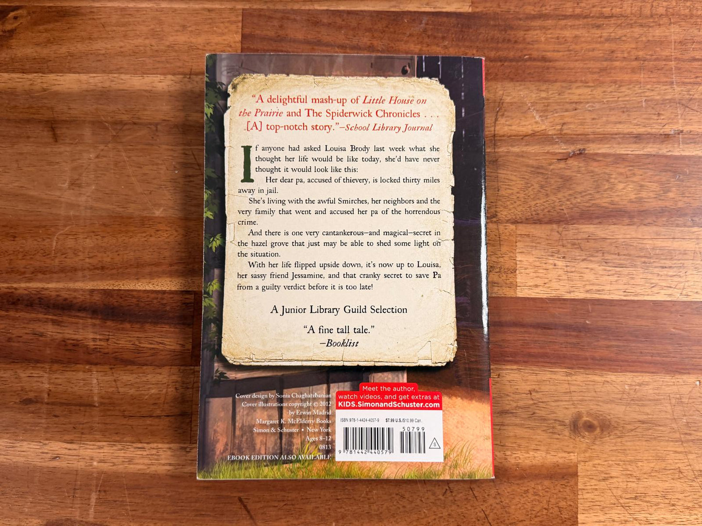 The Prarie Thief by Melissa Wiley