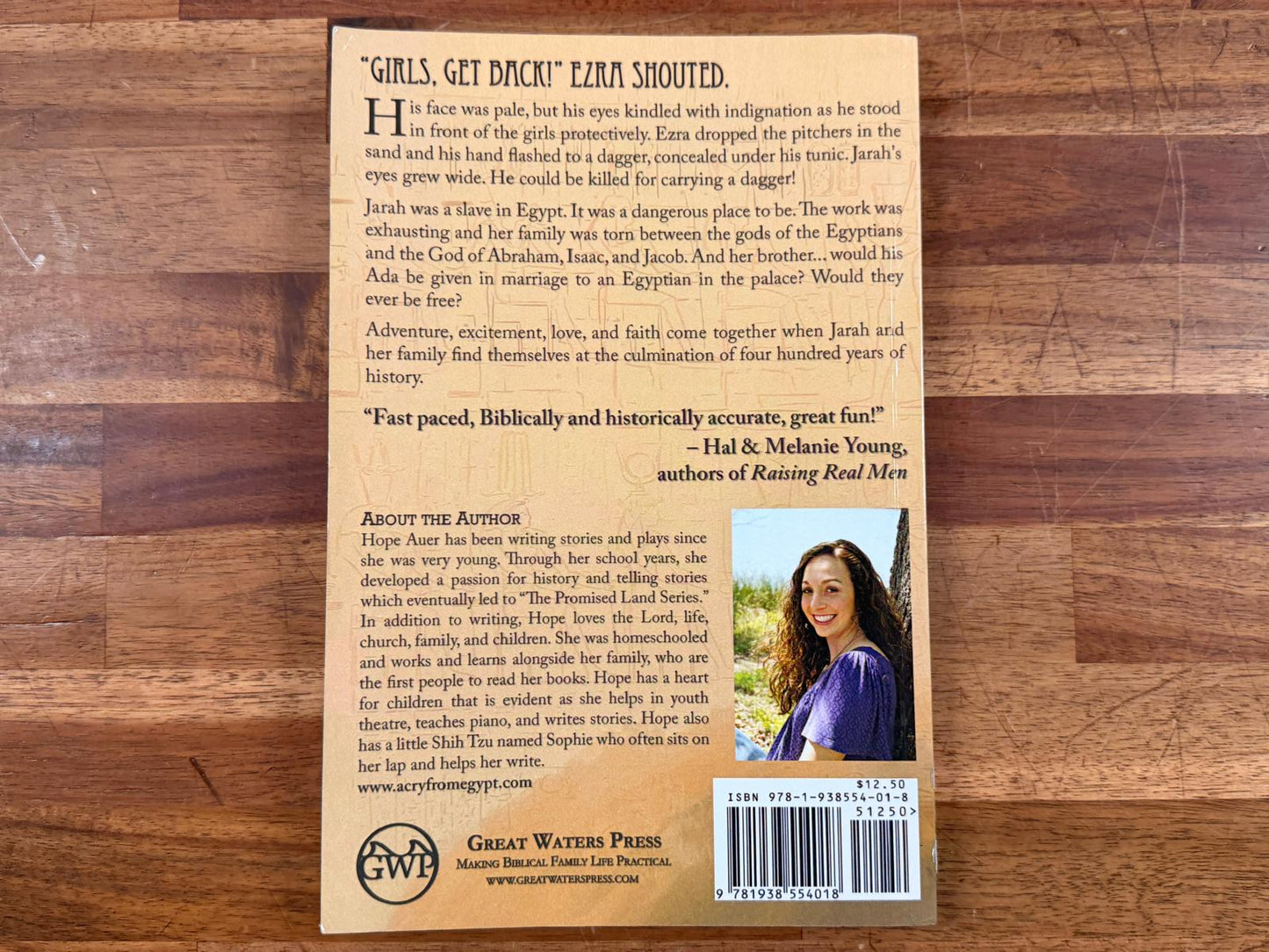 A Cry from Egypt - Book One of the Promised Land