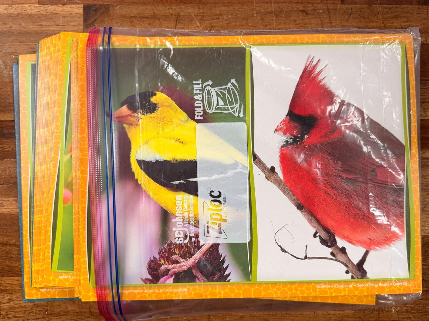 Abeka Homeschool Science 4 BUNDLE