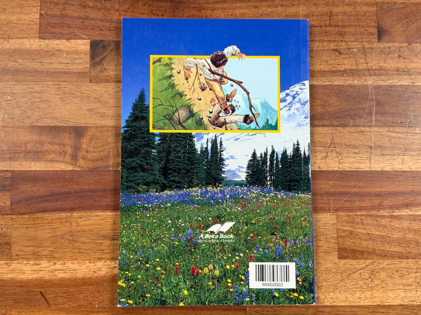 Abeka Reader 5-6 Message of the Mountain