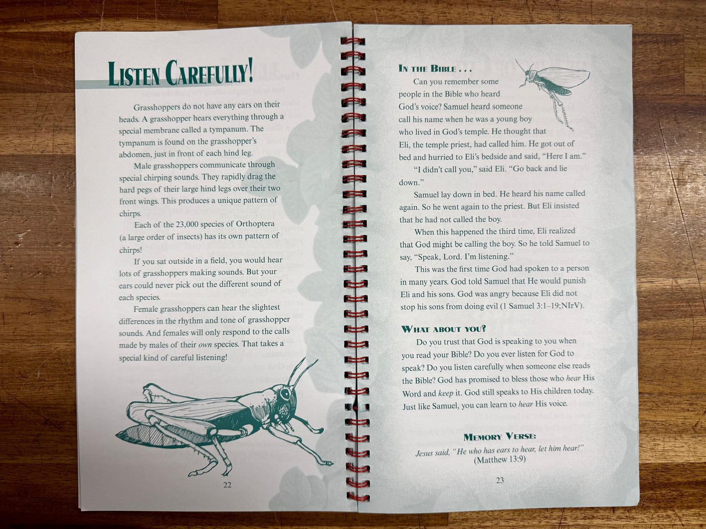 God's Amazing Creatures & Me! Devotions for Boys & Girls